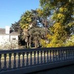 2501-4th-St_LA-90018_View-from-front-balcony-to-4th-toward-10